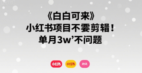 小白可来小红书项目不需要剪辑单月3w不是问题-柚子资源网