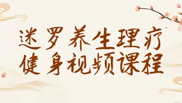 迷罗养生理疗健身视频课程-柚子资源网