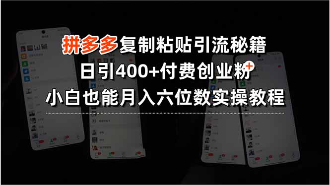拼多多复制粘贴引流秘籍，日引400+付费创业粉，小白也能月入六位数实操…-柚子资源网