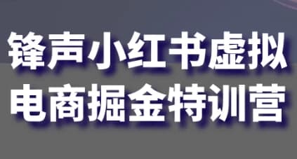 锋声小红书虚拟电商掘金特训营-柚子资源网
