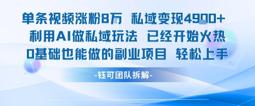单条视频私域变现4.9k+利用AI做私域玩法已经开始火热0基础也能做的副业项目轻松上手-柚子资源网