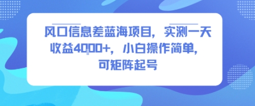 风口信息差蓝海项目，实测一天收益4k+，小白操作简单，可矩阵起号-柚子资源网