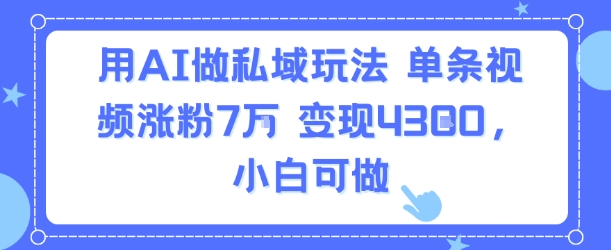 用AI做私域玩法，单条视频涨粉7W变现4.3k，小白可做-柚子资源网