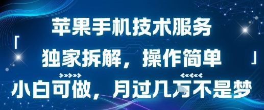 苹果手机技术服务，独家拆解，操作简单，小白可做，月过1W不是梦-柚子资源网
