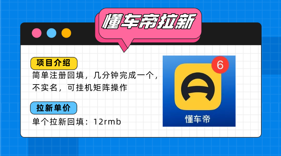 懂车帝邪修拉新玩法，简单注册回填，不sm，单个拉新12rmb，轻松日入200+-柚子资源网