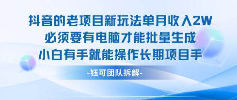 老项目新玩法单月收入2W小白有手就能操作长期项目-柚子资源网