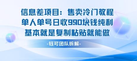信息差项目：售卖冷门教程单人单号日收9张纯利基本就是复制粘贴就能做-柚子资源网