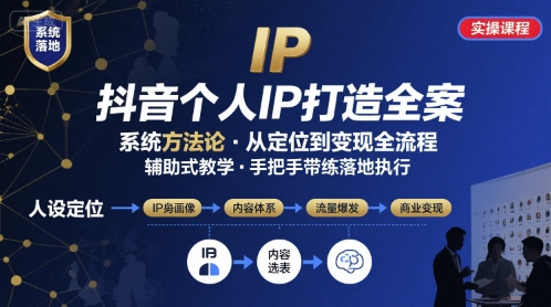 抖音个人IP系统落地实操大课，实操课程，辅助落地-柚子资源网
