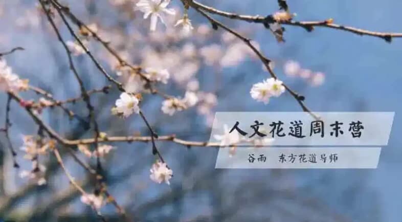 人文花道美学营-柚子资源网
