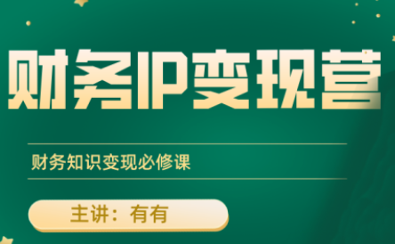 有有老师·财务IP变现营，财务知识变现必修课-柚子资源网