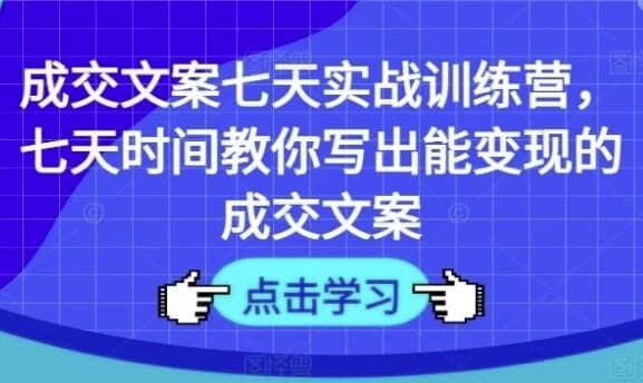 七天教你写出能变现的成交文案-柚子资源网