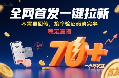 全网首发一键拉新项目，不需要回传，接个验证码就完事，稳定靠谱，一小时收益70+【揭秘】-柚子资源网