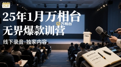 25年1月万相台无界爆款特训营线下录音-柚子资源网