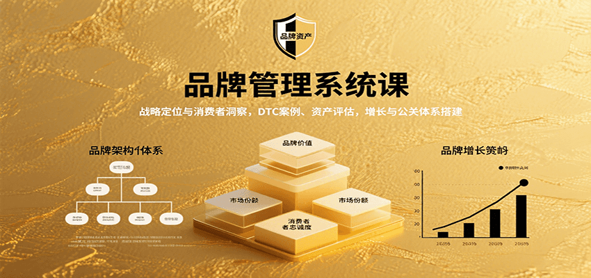 品牌管理系统课：战略定位与消费者洞察，DTC案例、资产评估，增长与公关体系搭建-柚子资源网