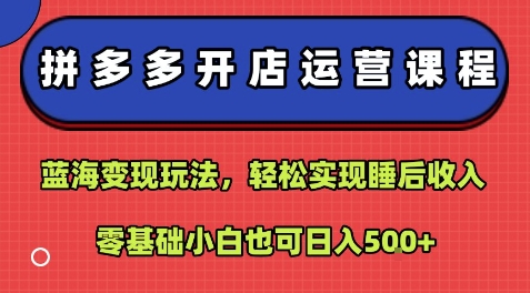 拼多多开店运营课程：蓝海变现玩法，轻松实现睡后收入，零基础小白也可日入5张-柚子资源网