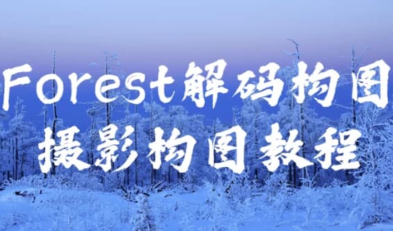 Forest解码构图摄影构图教程-柚子资源网