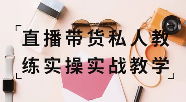 直播带货私人教练实操实战教学-柚子资源网