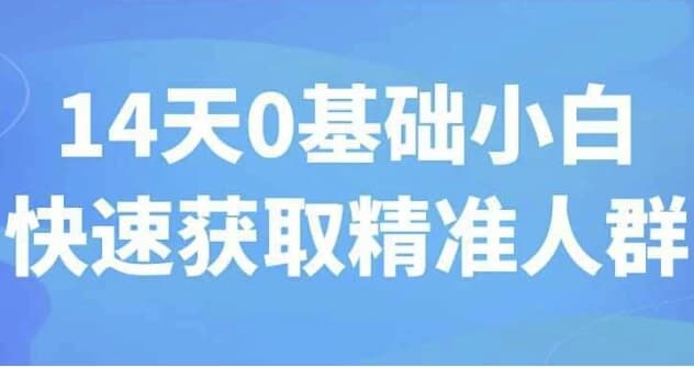 14天0基础小白快速获取精准人群-柚子资源网