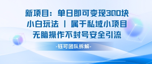 新项目单日即可变现3张的小白玩法无脑操作不封号安全引流-柚子资源网