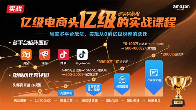 亿级电商头部卖家的实战课程：涵盖多平台玩法，实现从0到亿级规模的跃迁-柚子资源网