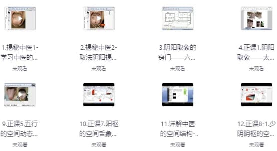 六经伤寒舌象辩证教程-柚子资源网