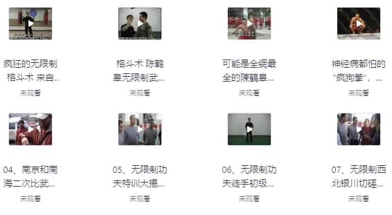 陈鹤皋“无限制格斗”实战训练视频-柚子资源网