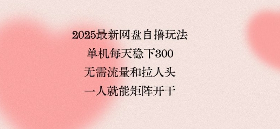 2025最新网盘自撸玩法，单机每天稳下3张，无需流量和拉人头，一个人就可轻松矩阵，全网独一份【揭秘】-柚子资源网