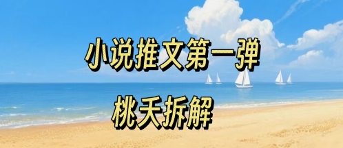 小说推文项目操作全流程第一弹，0粉就能做，门槛低非常适合新手-柚子资源网