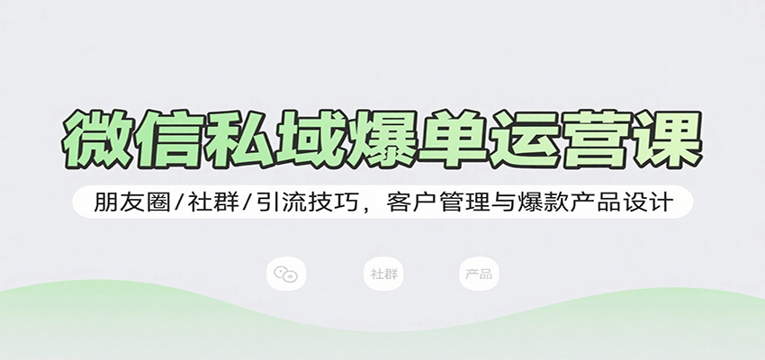 微信私域爆单运营课：朋友圈/社群/引流技巧，客户管理与爆款产品设计-柚子资源网