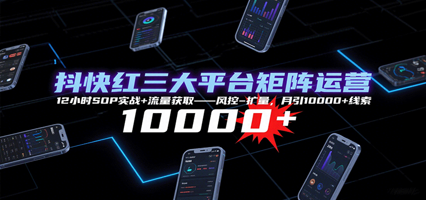 抖快红三大平台矩阵运营，12小时SOP实战+流量获取-风控-扩量，月引10000+线索-柚子资源网