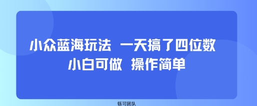 小众蓝海玩法一天搞了四位数小白可做操作简单-柚子资源网