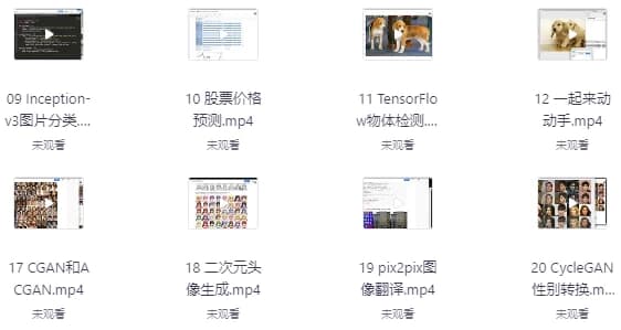 AI开发项目-柚子资源网