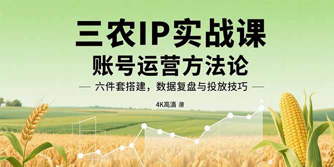 三农IP实战课：账号运营方法论，六件套搭建，数据复盘与投放技巧-柚子资源网