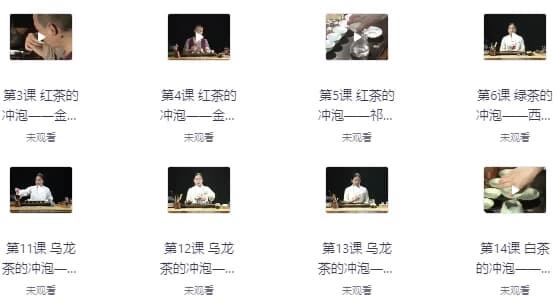 全套茶艺课程：零基础也能学会，轻松掌握茶艺精髓-柚子资源网