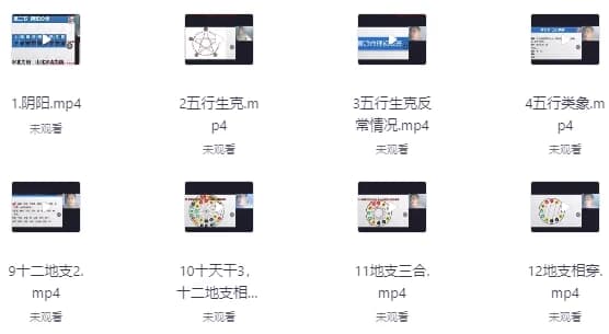 盲派山阳老师全套课程20集+课件-柚子资源网