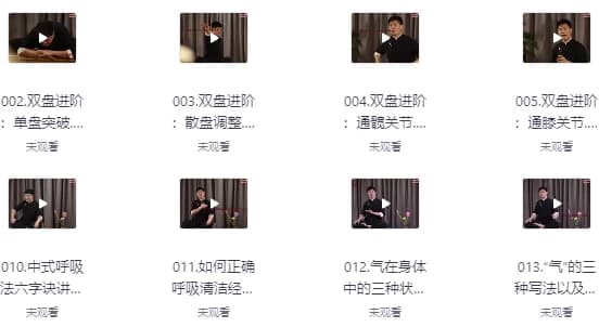 14天养元筑基进阶训练营-柚子资源网