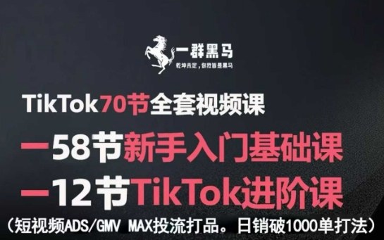 TikTok全套视频课，新手入门+进阶课，短视频ADS-GMVMAX投流打品，日销破1000单打法-柚子资源网
