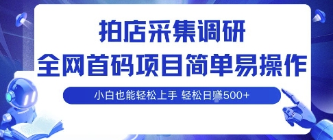 拍店采集调研，全网首码项目，简单易操作，小白也能轻松上手，多账号操作，轻松日入5张【揭秘】-柚子资源网