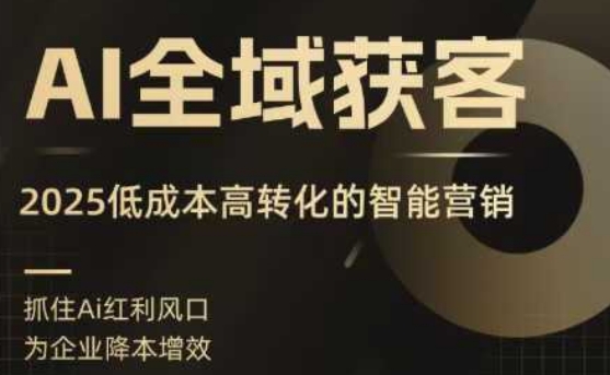 AI全域获客实训营，2025低成本高转化的智能营销，精准找客，高效营销-柚子资源网