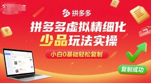拼多多虚拟精细化少品玩法实操，小白0基础轻松复制-柚子资源网