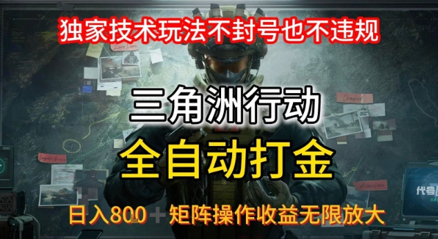 三角洲板砖揭秘项目免费送卡密-柚子资源网