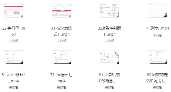 Python高级爬虫工程师-柚子资源网