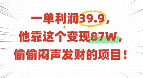 一单利润39.9，有人靠这个变现几十个，偷偷闷声发财的项目-柚子资源网