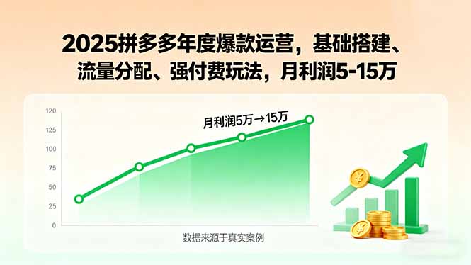2025拼多多年度爆款运营，基础搭建、流量分配、强付费玩法，月利润5-15万-柚子资源网