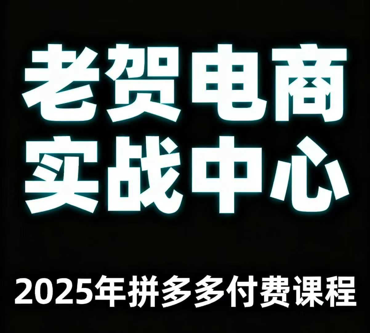 老贺电商2025年拼多多付费课程，用通俗易懂的方法告诉你多多怎么玩-柚子资源网