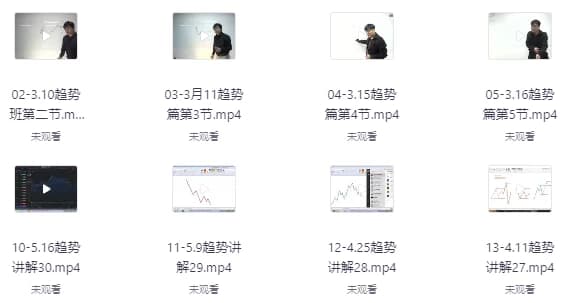 赵心纯《趋势班课程讲解》-柚子资源网