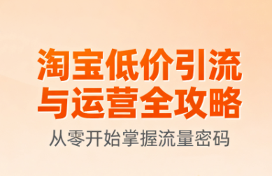 淘宝低价引流与运营全攻略(更新9月)-柚子资源网