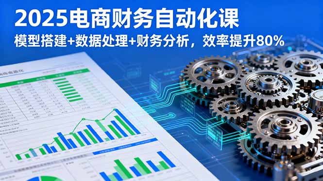 2025电商财务自动化课，模型搭建+数据处理+财务分析，效率提升80%-柚子资源网